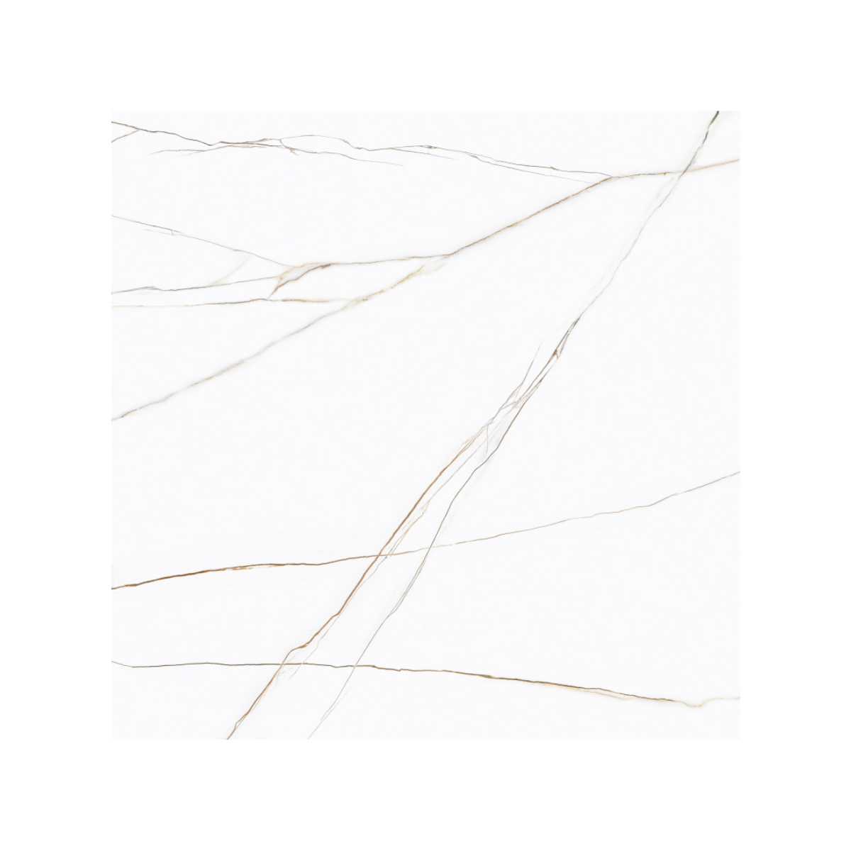 PORCELANATO MASTER SAHARA SATINY CASTELLI 123X123 - Imagem 3